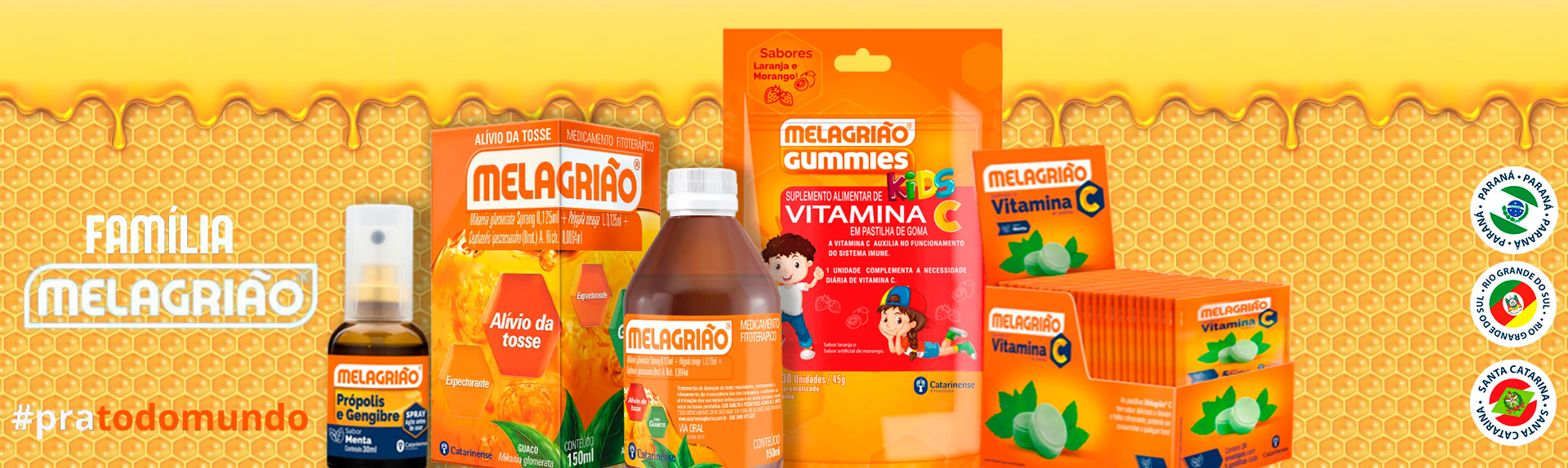 Distribuidora de medicamentos Palhoça SC