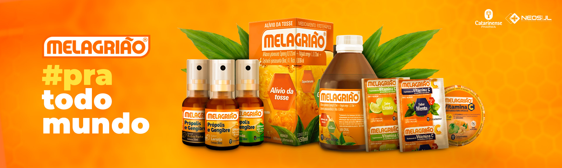 Distribuidora de medicamentos Palhoça SC